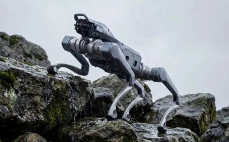 Yapay zeka değil, gerçek! Yeni robot herkesi şaşırttı