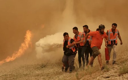 Görüntüler Muğla'dan: Ekipler yangını söndürmek için seferber oldu