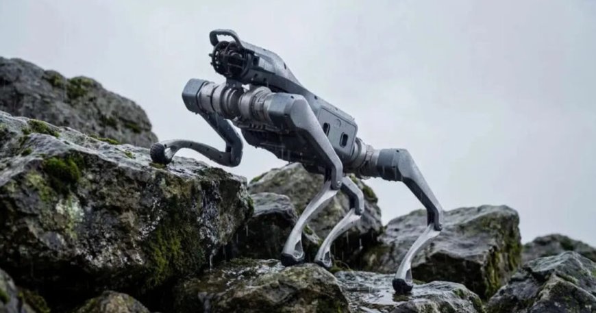 Yapay zeka değil, gerçek! Yeni robot herkesi şaşırttı