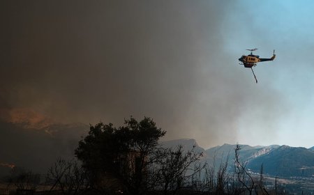 Atina yakınlarında orman yangını: Tahliye uyarıları yapıldı