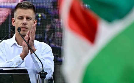 Macaristan'da devir değişti. Orbán'a yakın şirketler çöküşün eşiğinde