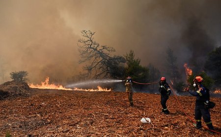 Atina yakınlarında hızla yayılan yangınla amansız mücadele sürüyor