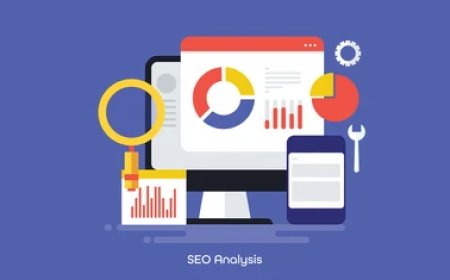 Site Boyutlarına göre SEO Analizi