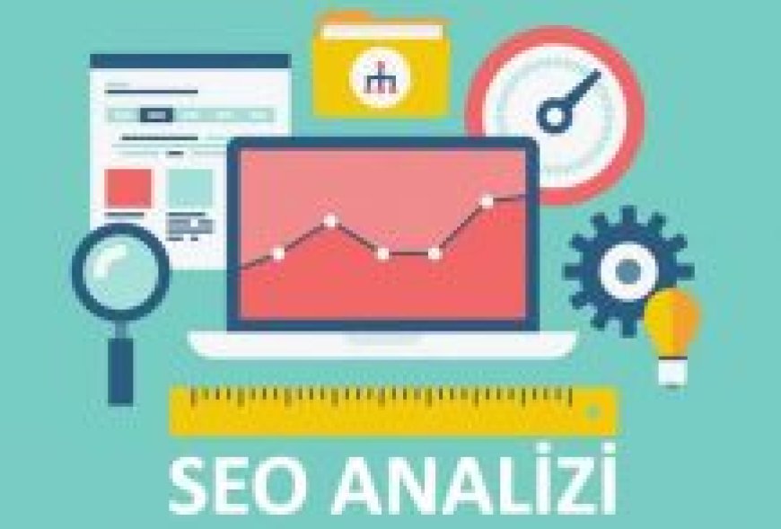 Detaylı seo raporu hangi verileri içerir ?